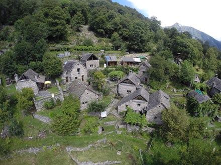 Cortoi