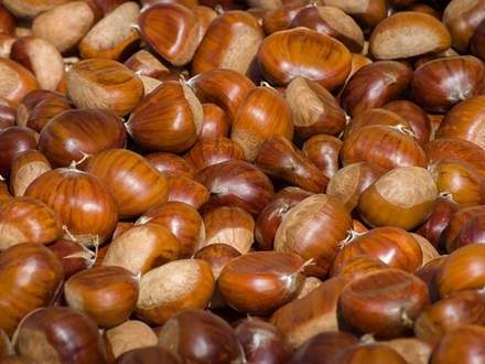 Varietà Di Castagne