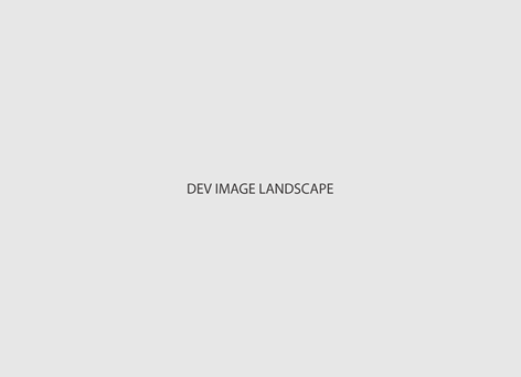 Dev Landscape