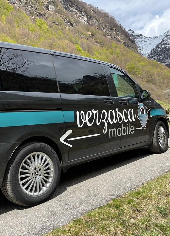 Verzasca_mobile_mucca