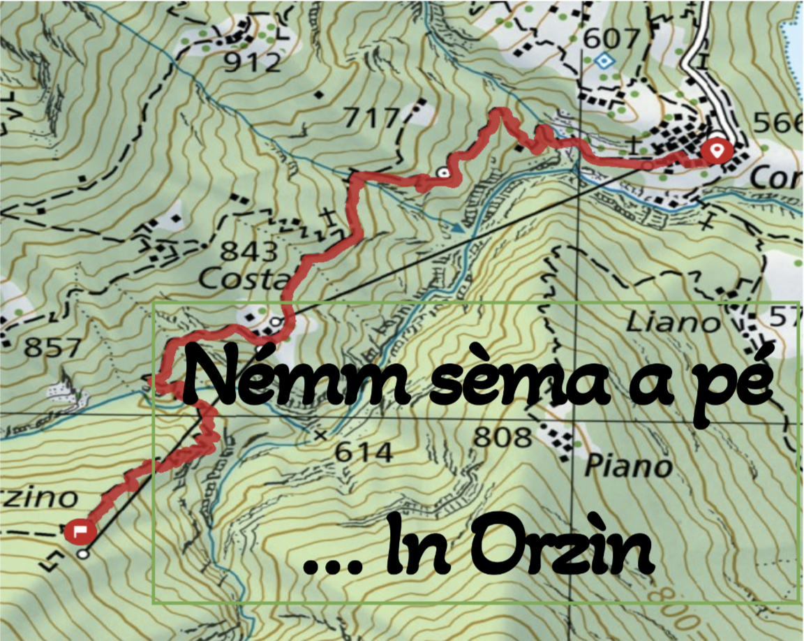 Screenshot 2026 06 12 Alle 19.43.52 (1)