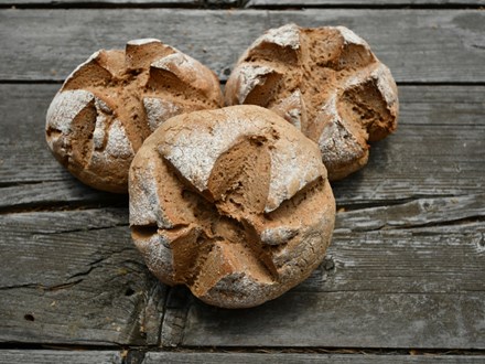 Pane