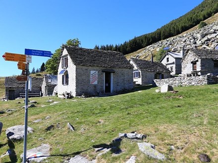 Bardughè