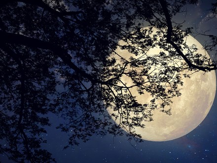 Chiaro Di Luna